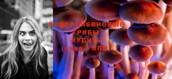 mdpv Арсеньев