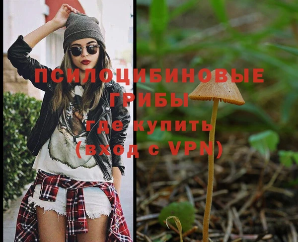 mdpv Арсеньев