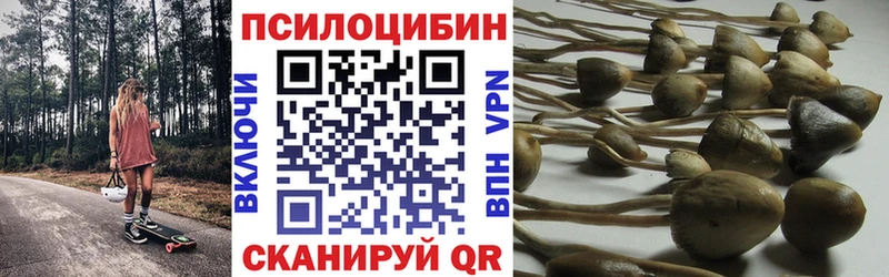 где купить наркоту Лянтор Галлюциногенные грибы MAGIC MUSHROOMS